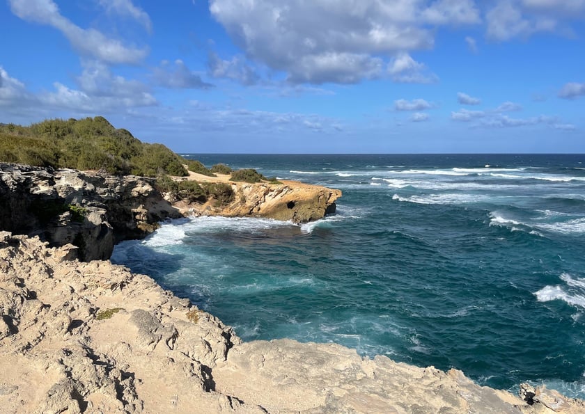 Image of a cliff overlooking the ocean